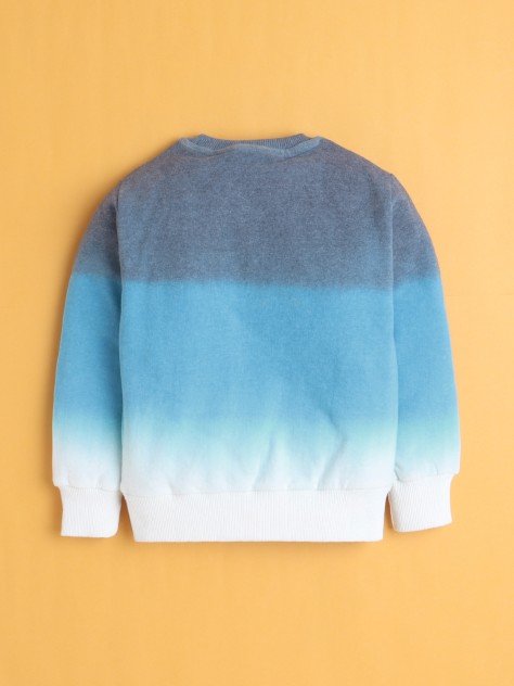 BUMZEE Multi Boys Full Sleeves Cotton Sweatshirt